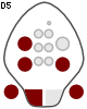 D5
