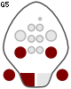 G5
