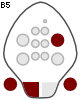 B5