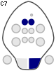 C7