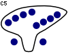 C5