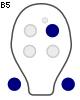 B5